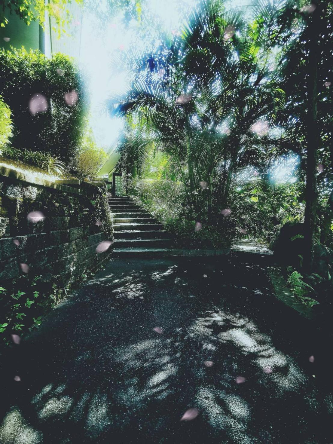 Bangnu Greenery Resort Takua Thung Экстерьер фото