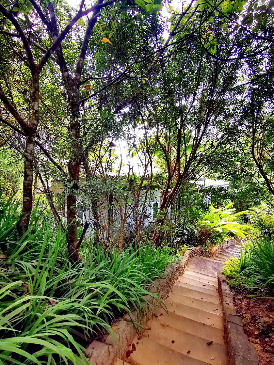 Bangnu Greenery Resort Takua Thung Экстерьер фото