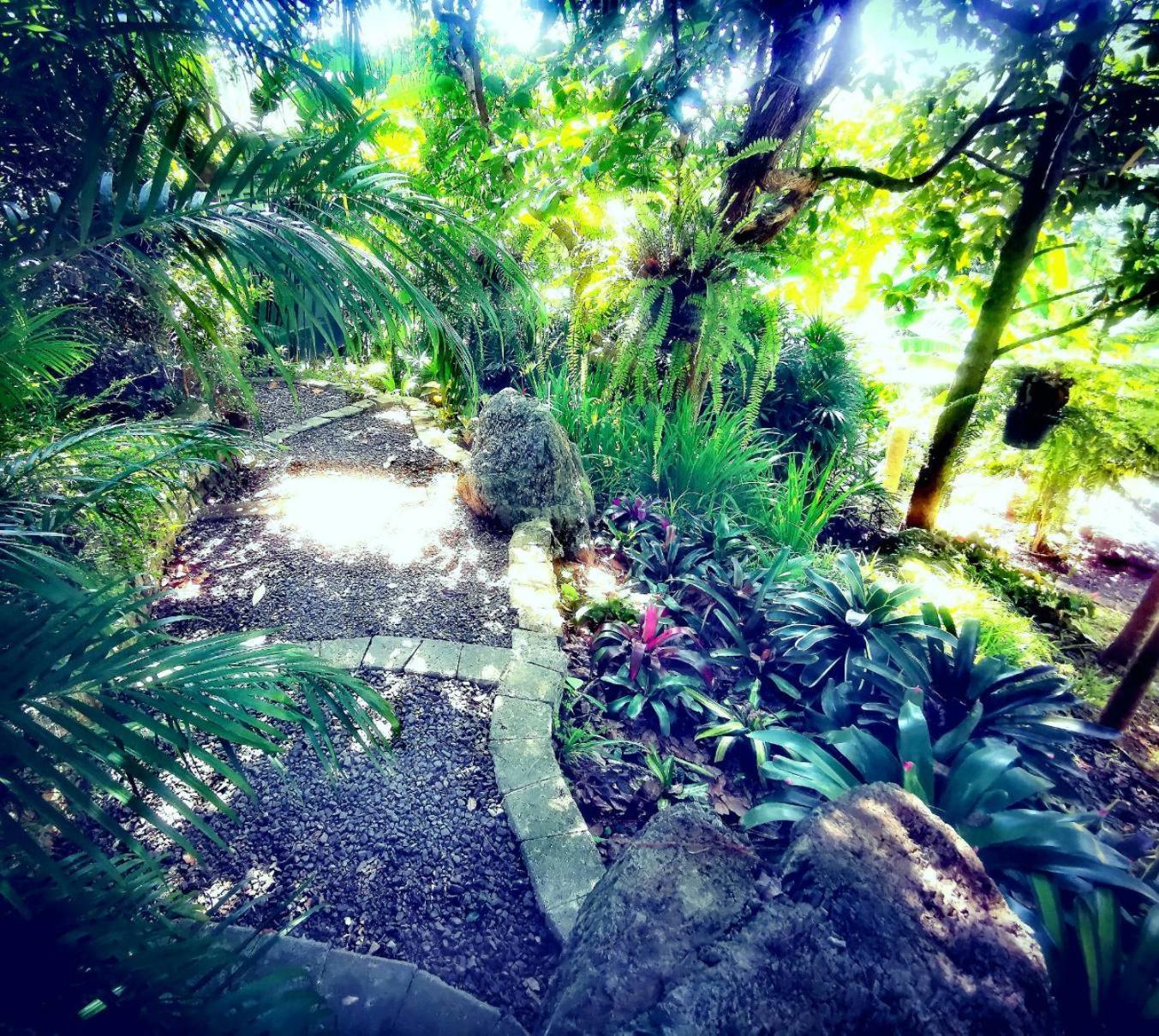 Bangnu Greenery Resort Takua Thung Экстерьер фото