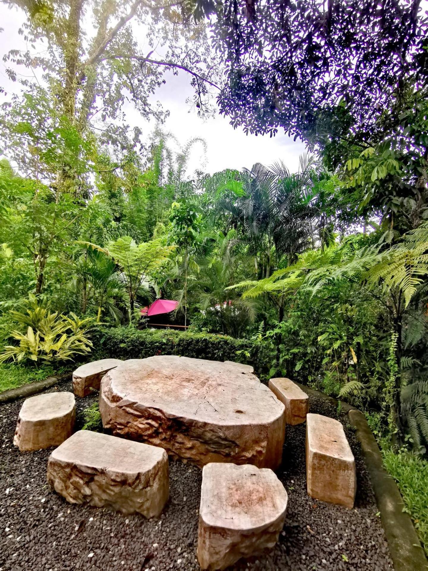 Bangnu Greenery Resort Takua Thung Экстерьер фото